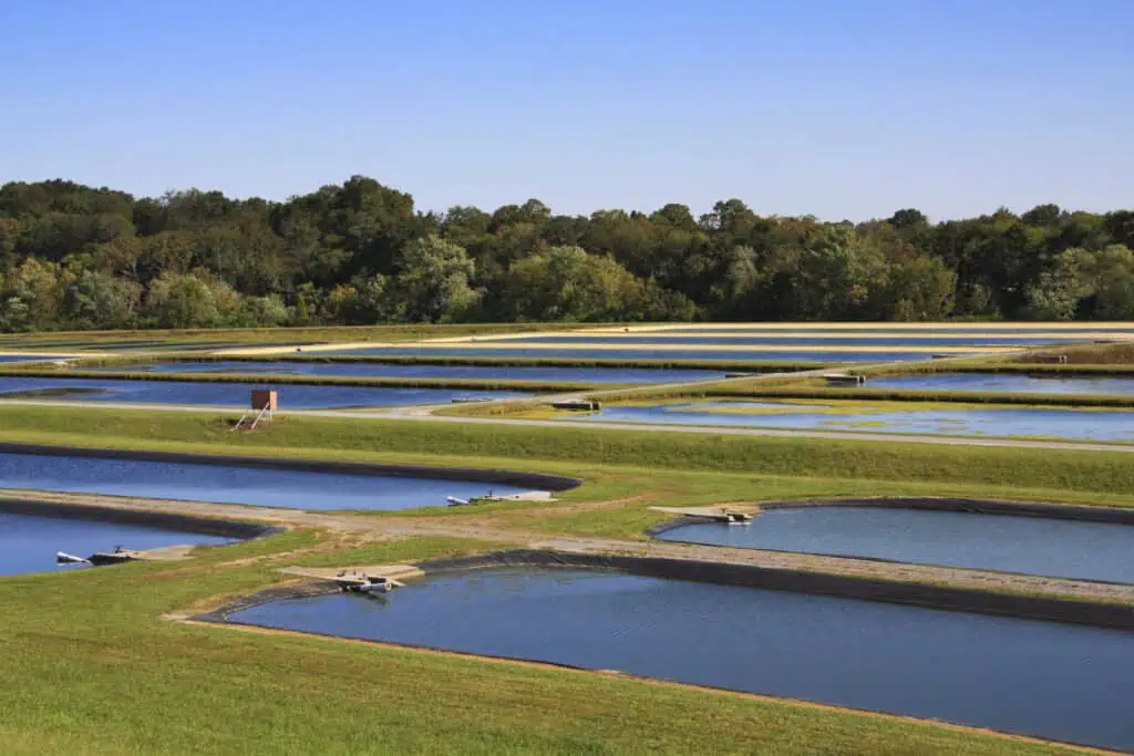 Fish hatchery pond with geomembrane liner