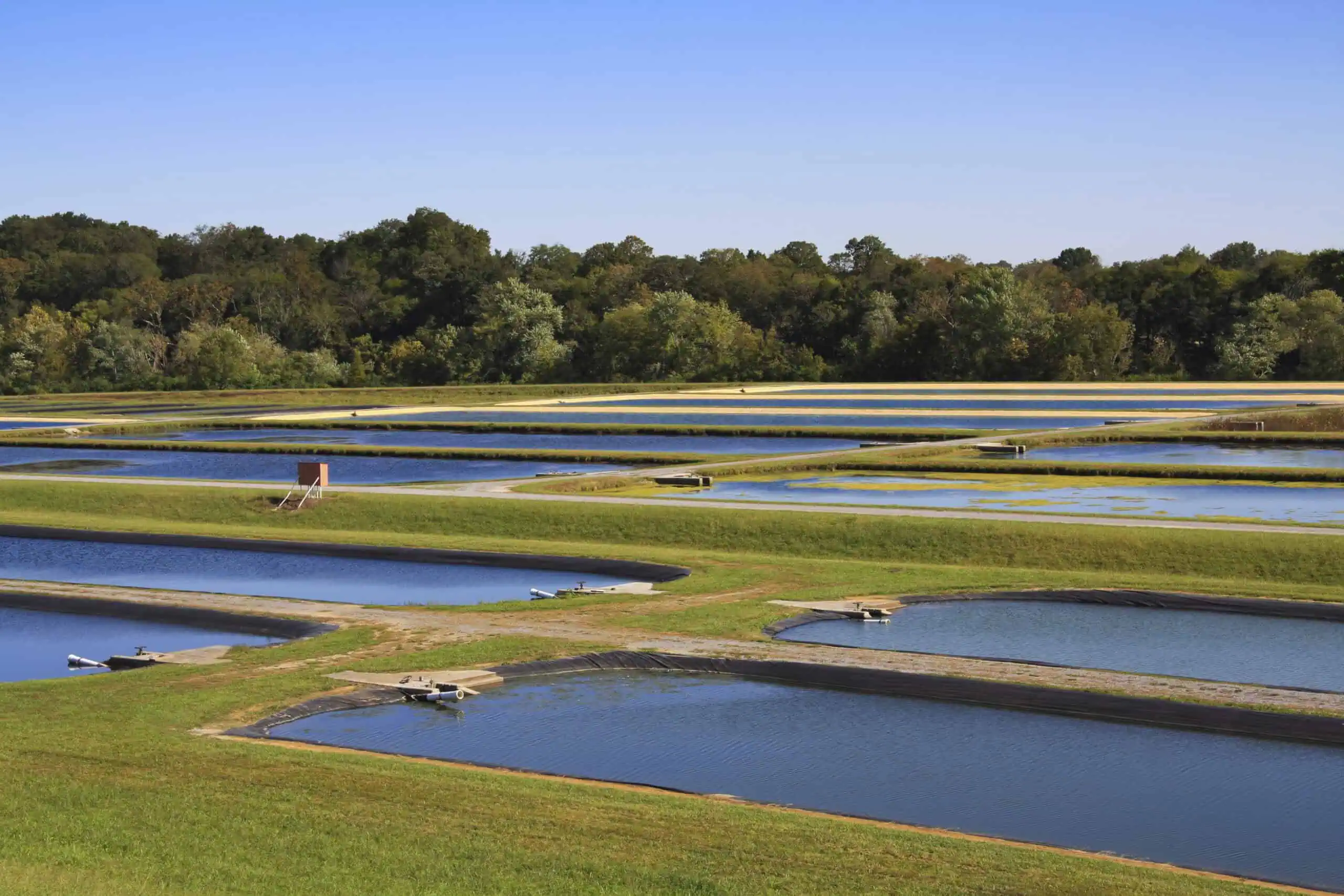 Fish hatchery pond with geomembrane liner