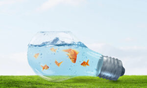 Aquaculture; fish swimming in clean clear water in a glass idea lightbulb